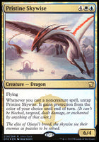 Pristine Skywise