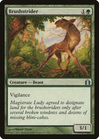 Brushstrider