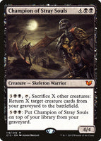 Champion of Stray Souls