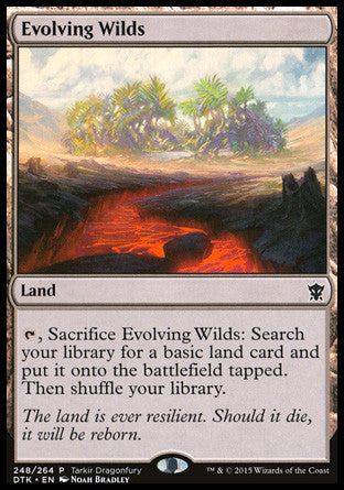 Evolving Wilds