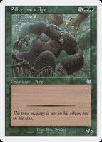 Silverback Ape