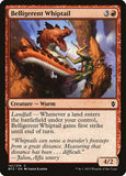 Belligerent Whiptail