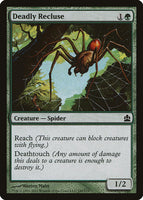 Deadly Recluse