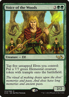 Voice of the Woods