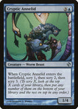 Cryptic Annelid