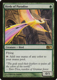 Birds of Paradise