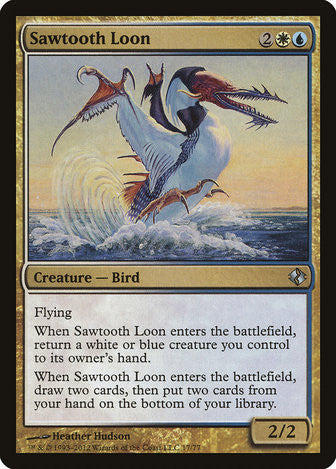 Sawtooth Loon