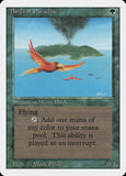 Birds of Paradise