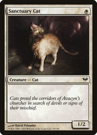Sanctuary Cat