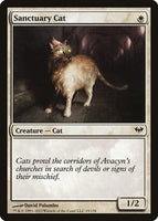 Sanctuary Cat