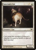 Sanctuary Cat