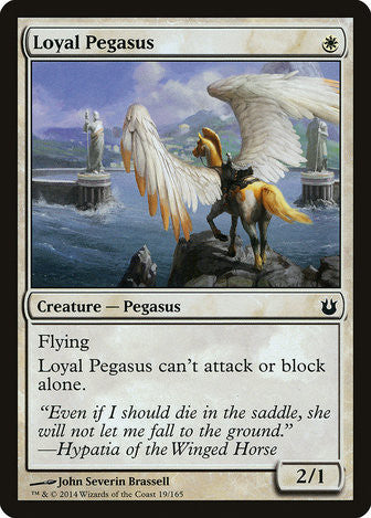 Loyal Pegasus