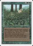 Kudzu