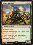 Giant Solifuge