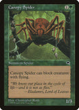 Canopy Spider