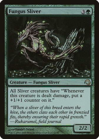 Fungus Sliver