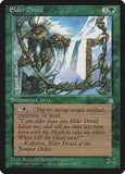 Elder Druid