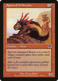 Spurred Wolverine