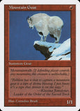 Mountain Goat
