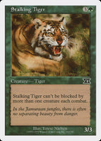 Stalking Tiger