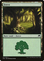 Forest