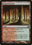 Fungal Reaches