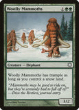 Woolly Mammoths