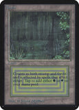 Bayou