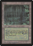 Bayou