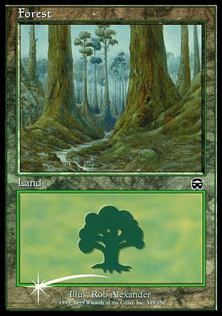 Forest