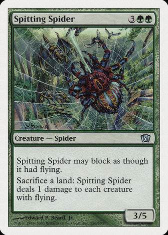 Spitting Spider
