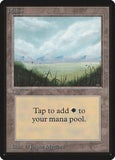Plains