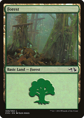 Forest