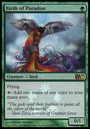 Birds of Paradise
