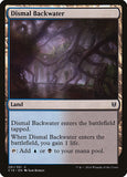 Dismal Backwater