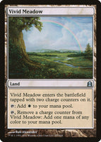 Vivid Meadow