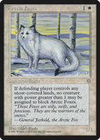 Arctic Foxes