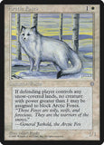 Arctic Foxes