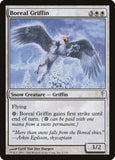 Boreal Griffin