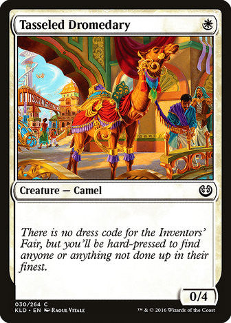 Tasseled Dromedary