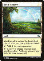 Vivid Meadow
