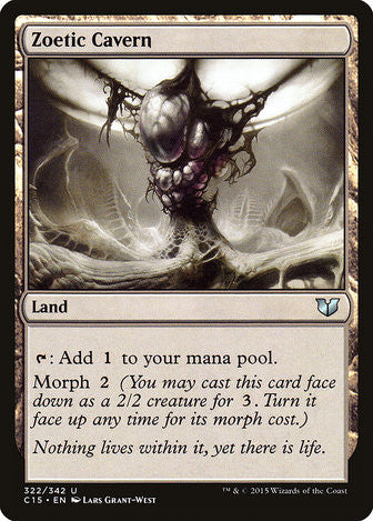 Zoetic Cavern