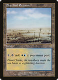 Skycloud Expanse