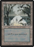 Swamp