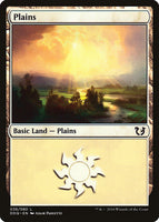 Plains