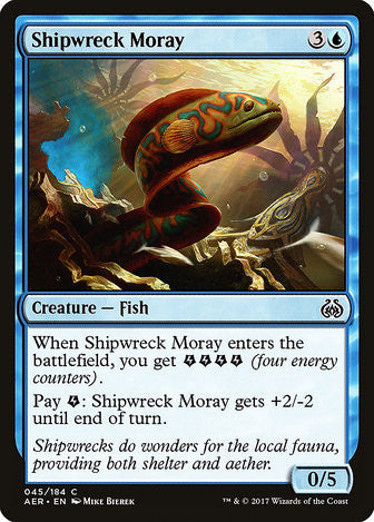 Shipwreck Moray