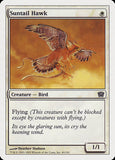 Suntail Hawk
