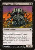 Scavenging Scarab