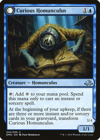 Curious Homunculus