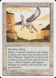 Mesa Pegasus